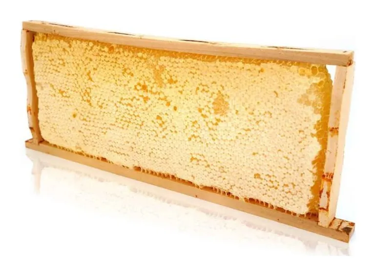 Produktbild: Ganzes Wabenrähmchen, ca 2.2 kg