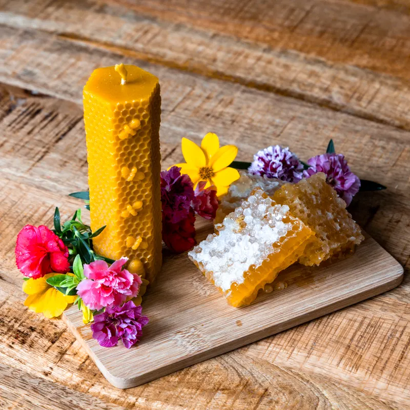 Bienenwabe und Bienenwachskerze mit Blüten